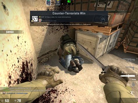 cs rule 34|Rule 34 / csgo.